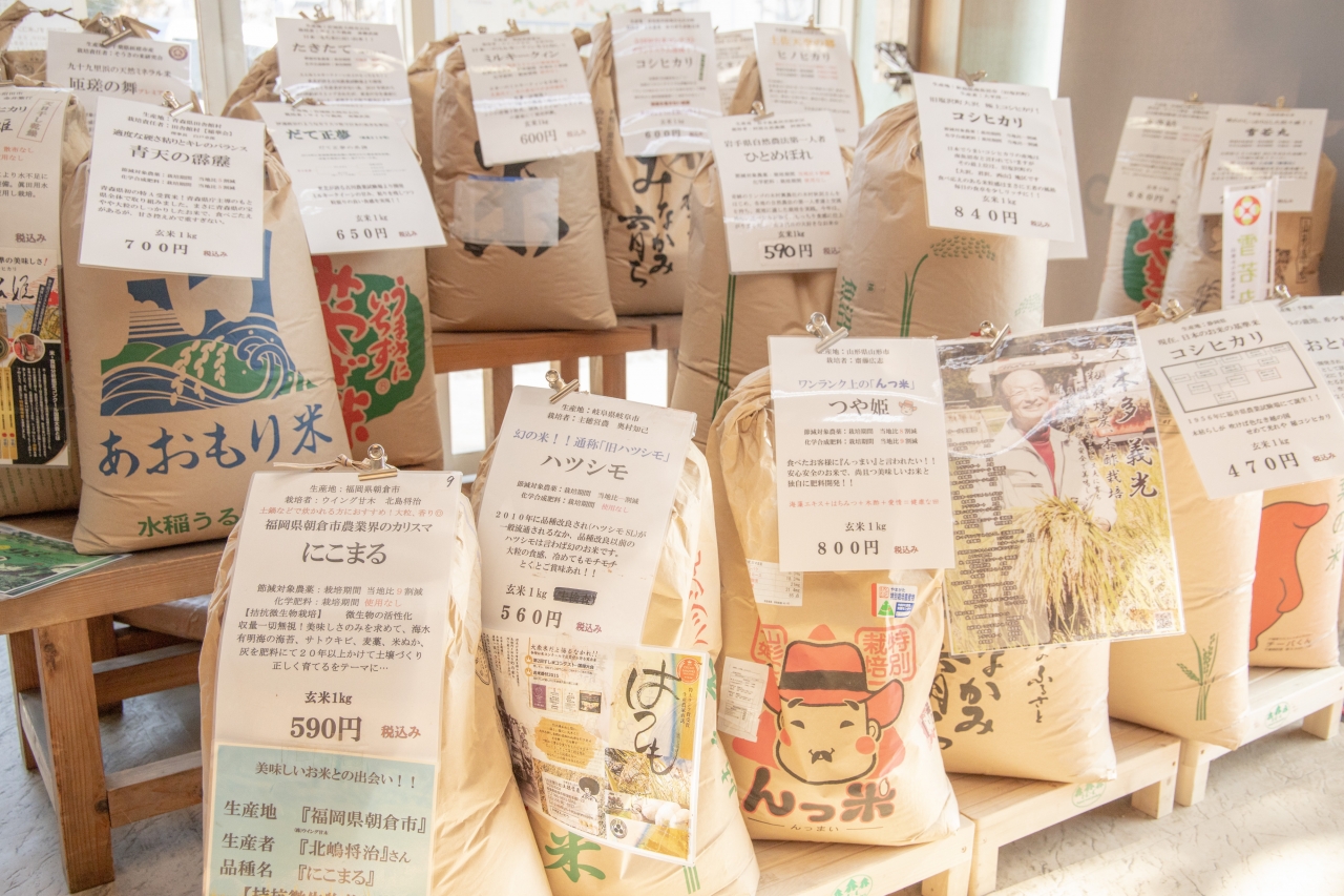 店内に並ぶ米